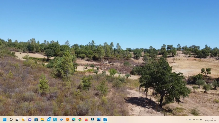 Terreno Agricola ou Rústico para Venda em Sarzedas Foto 7