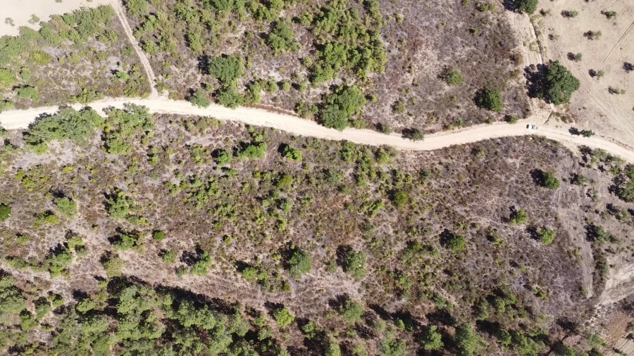 Terreno Agricola ou Rústico para Venda em Sarzedas Foto 4