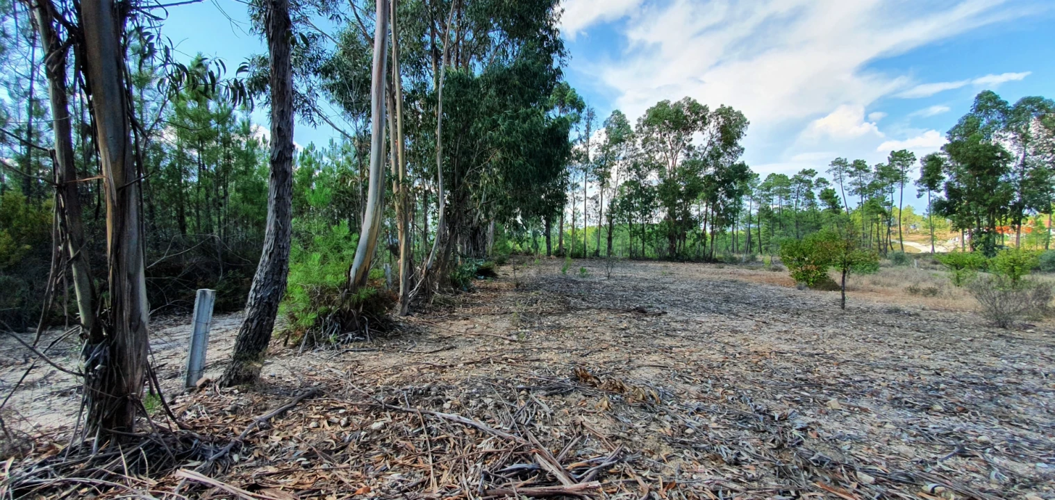 Terreno para Venda em Santo Andre das Tojeiras Foto 18