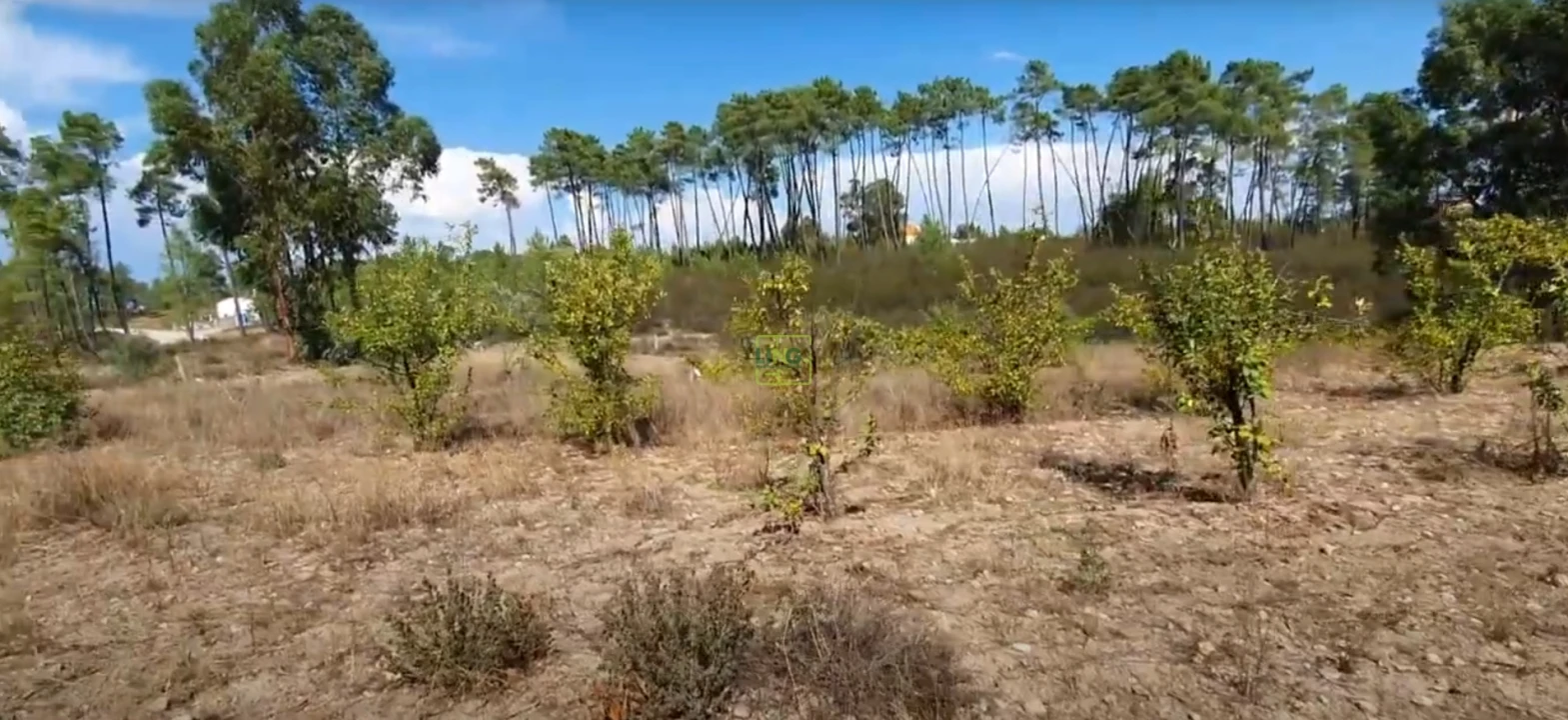 Terreno para Venda em Santo Andre das Tojeiras Foto 13