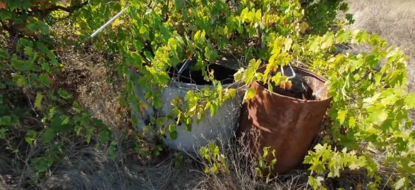 Terreno para Venda em Santo Andre das Tojeiras