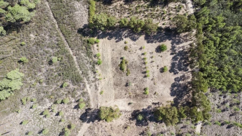 Terreno para Venda em Santo Andre das Tojeiras