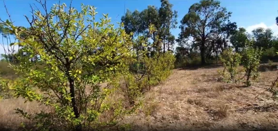 Terreno para Venda em Santo Andre das Tojeiras