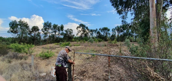 Terreno para Venda em Santo Andre das Tojeiras