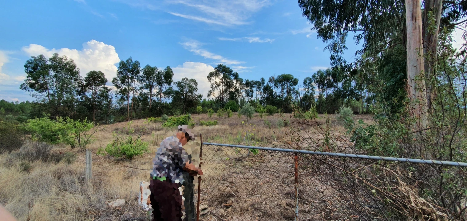 Terreno para Venda em Santo Andre das Tojeiras Foto 3