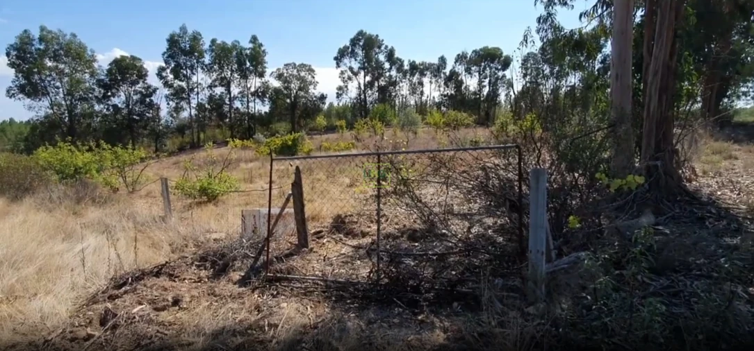 Terreno para Venda em Santo Andre das Tojeiras Foto 2