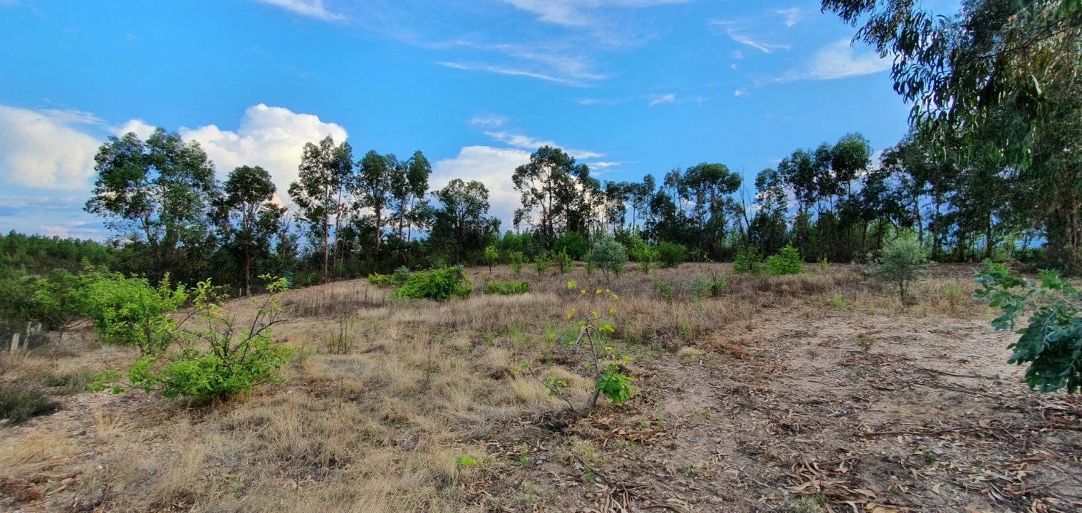Terreno para Venda em Santo Andre das Tojeiras Foto 19