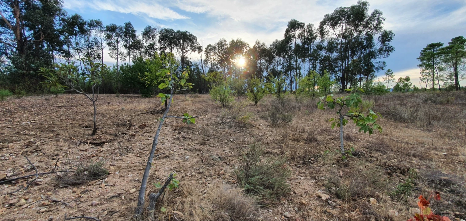 Terreno para Venda em Santo Andre das Tojeiras Foto 21