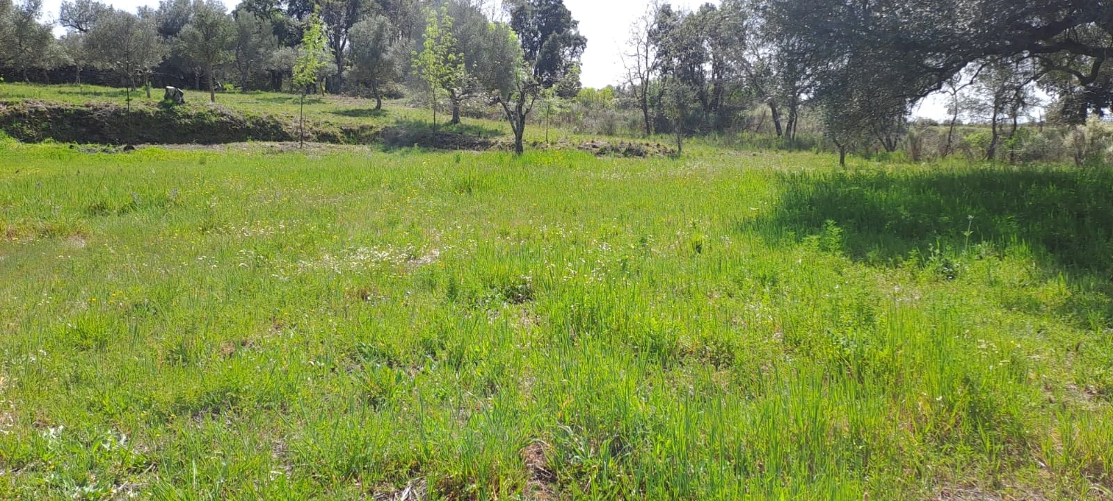 Quinta T0 para Venda em Aranhas Foto 21