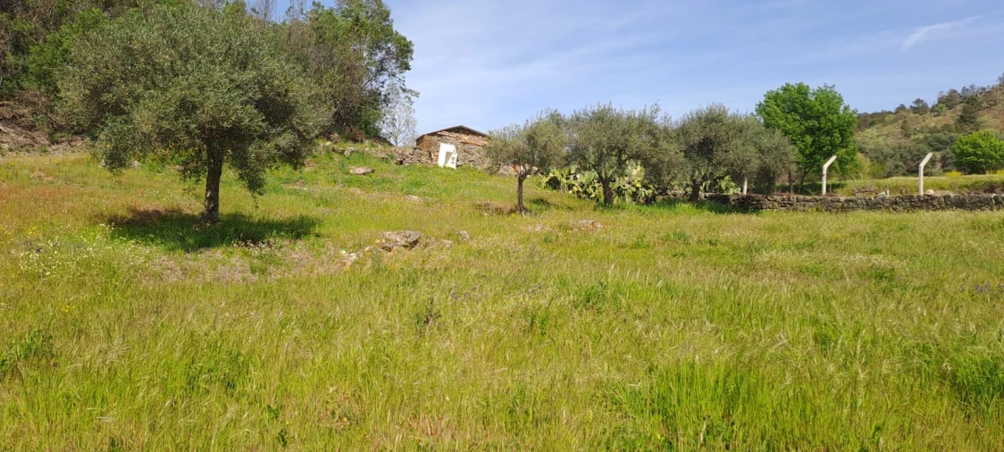 Quinta T0 para Venda em Aranhas Foto 9