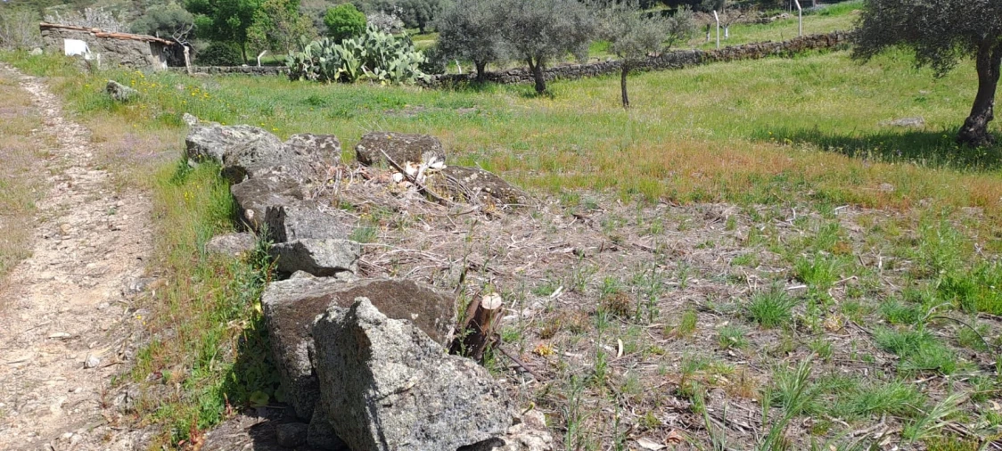 Quinta T0 para Venda em Aranhas Foto 22