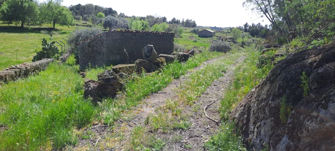Quinta T0 para Venda em Aranhas