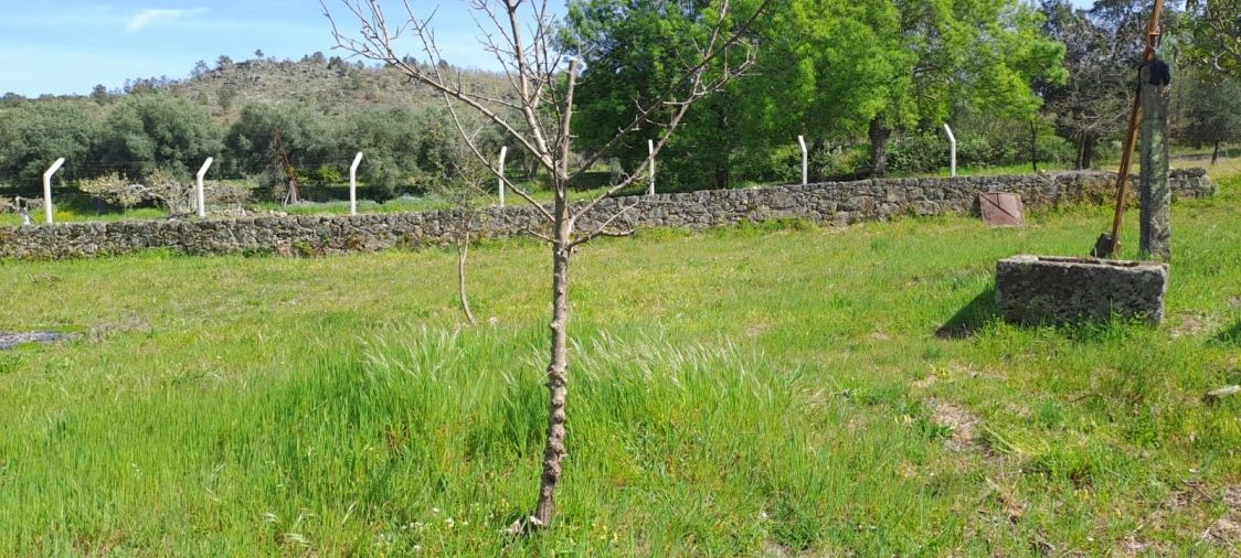 Quinta T0 para Venda em Aranhas Foto 17