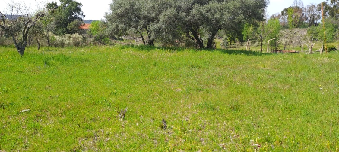 Quinta T0 para Venda em Aranhas Foto 19