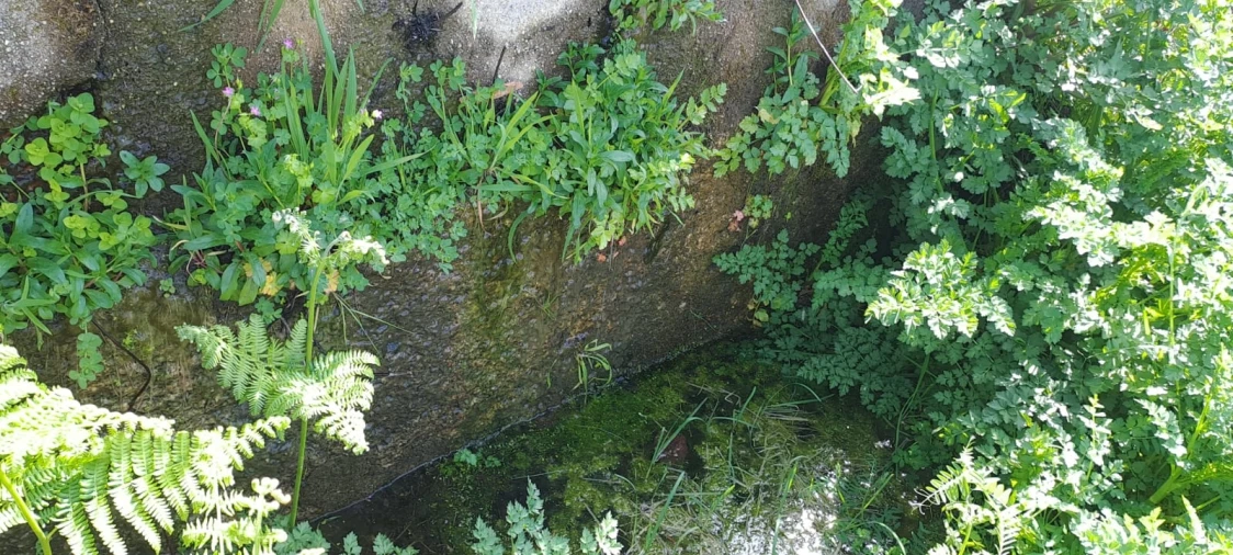 Quinta T0 para Venda em Aranhas Foto 18