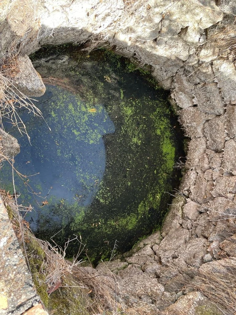 Quinta T0 para Venda em Aranhas Foto 2