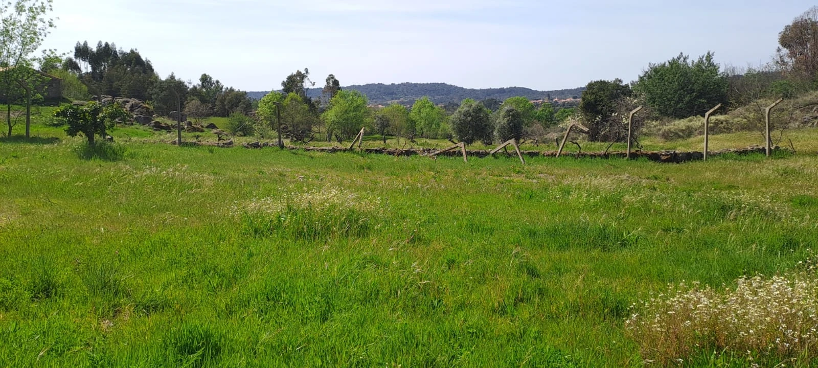 Quinta T0 para Venda em Aranhas Foto 7