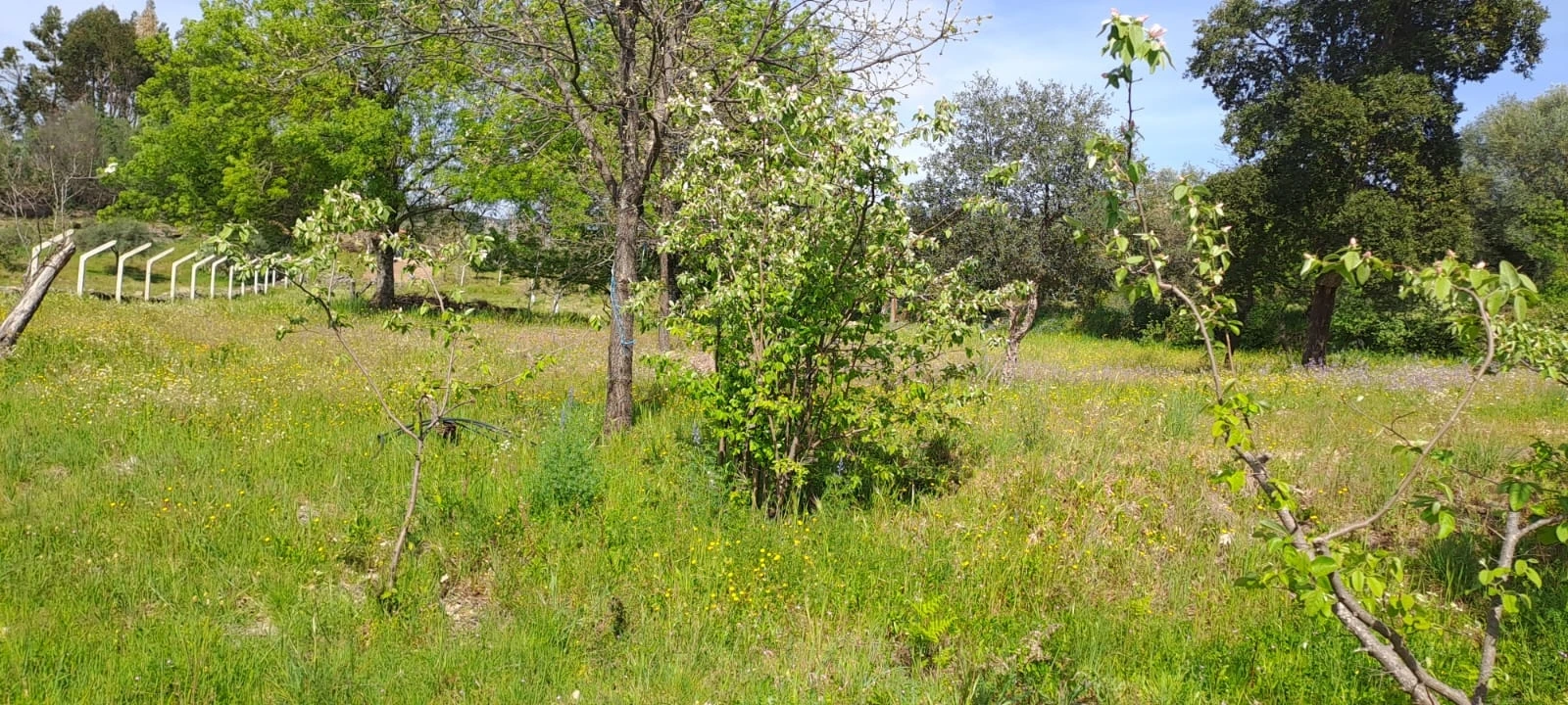 Quinta T0 para Venda em Aranhas Foto 10