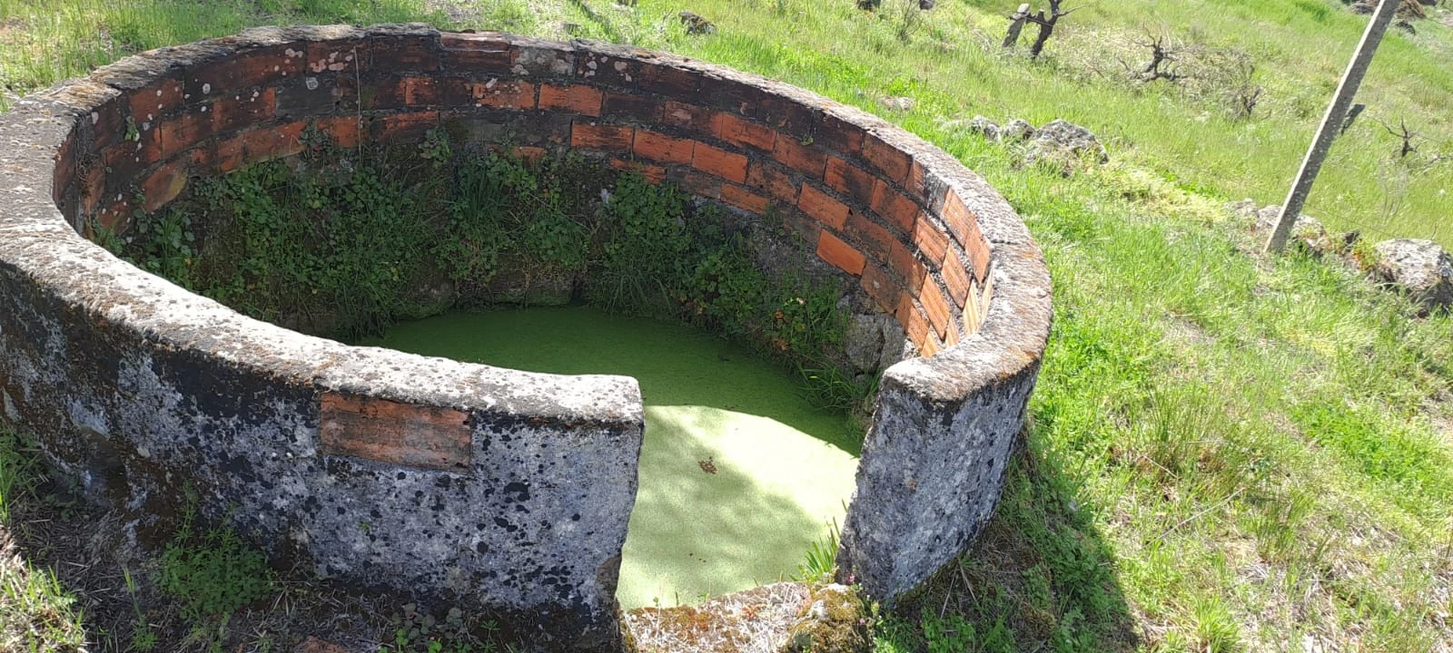 Quinta T0 para Venda em Aranhas Foto 25