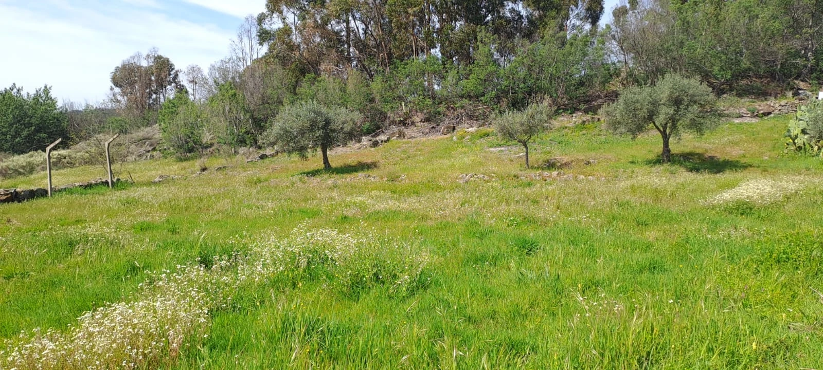 Quinta T0 para Venda em Aranhas Foto 20