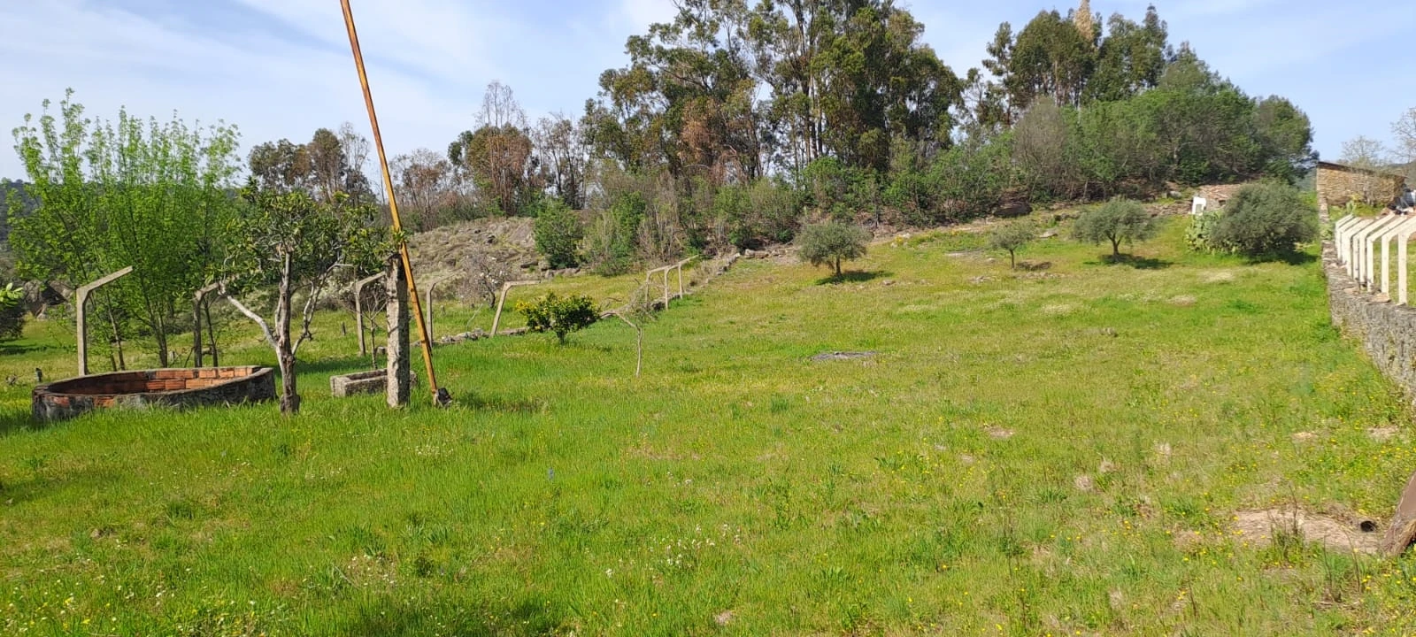 Quinta T0 para Venda em Aranhas Foto 23