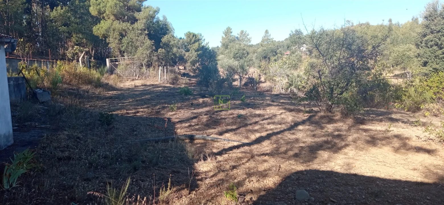 Terreno Agricola ou Rústico para Venda em Aranhas Foto 15