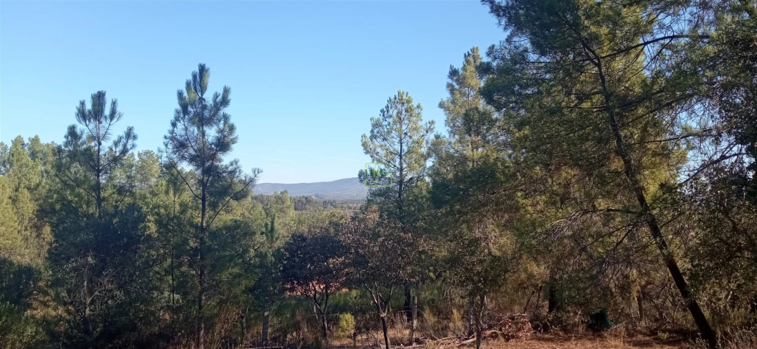 Terreno Agricola ou Rústico para Venda em Aranhas Foto 10