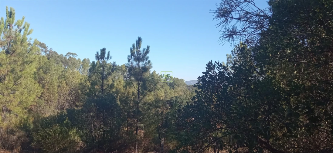 Terreno Agricola ou Rústico para Venda em Aranhas Foto 13