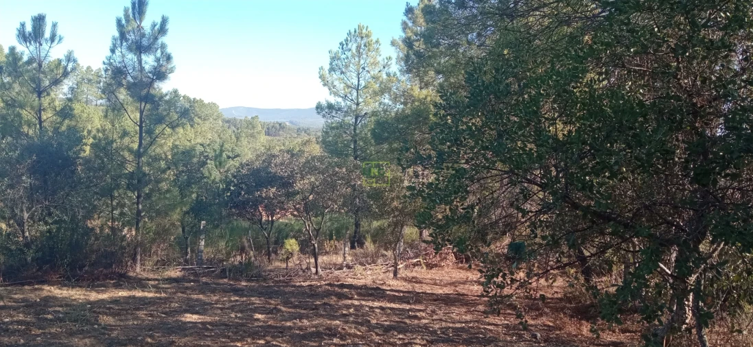 Terreno Agricola ou Rústico para Venda em Aranhas Foto 14