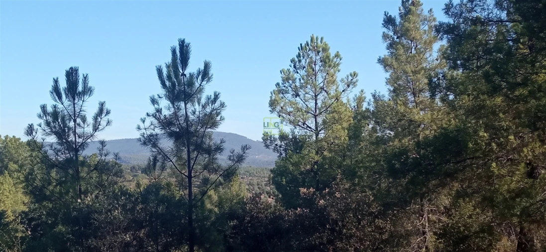 Terreno Agricola ou Rústico para Venda em Aranhas Foto 17
