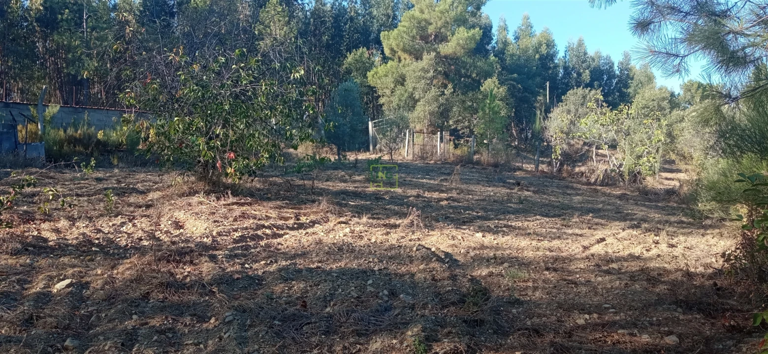 Terreno Agricola ou Rústico para Venda em Aranhas Foto 11