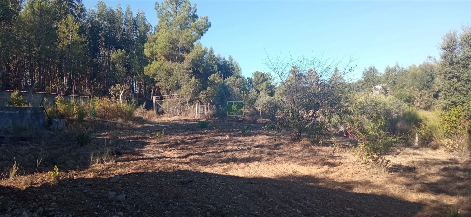 Terreno Agricola ou Rústico para Venda em Aranhas Foto 9