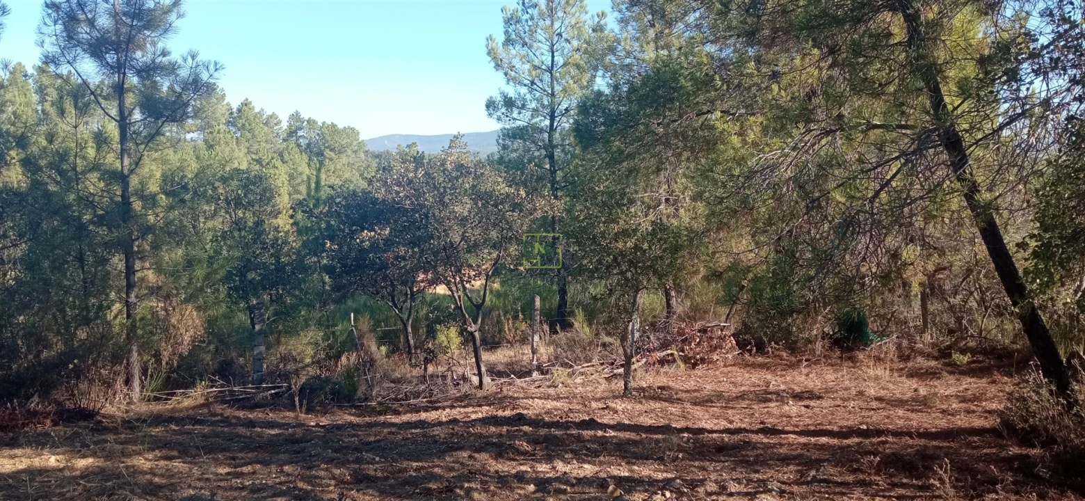 Terreno Agricola ou Rústico para Venda em Aranhas Foto 8