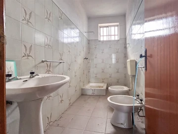 Armazém para Arrendamento em Alcains