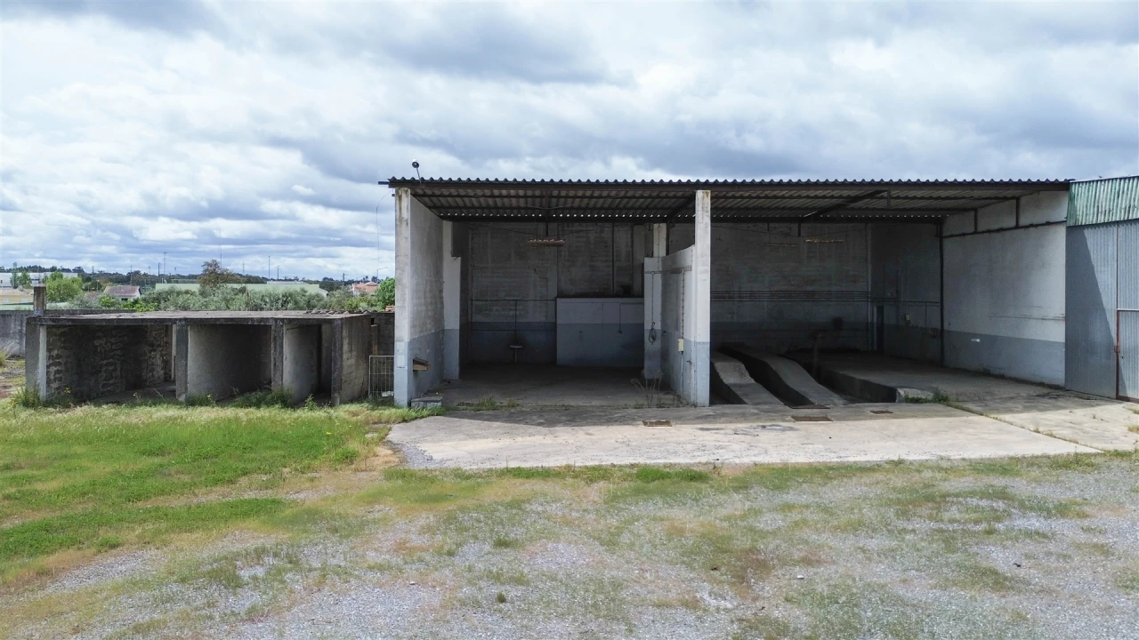 Armazém para Arrendamento em Alcains Foto 57