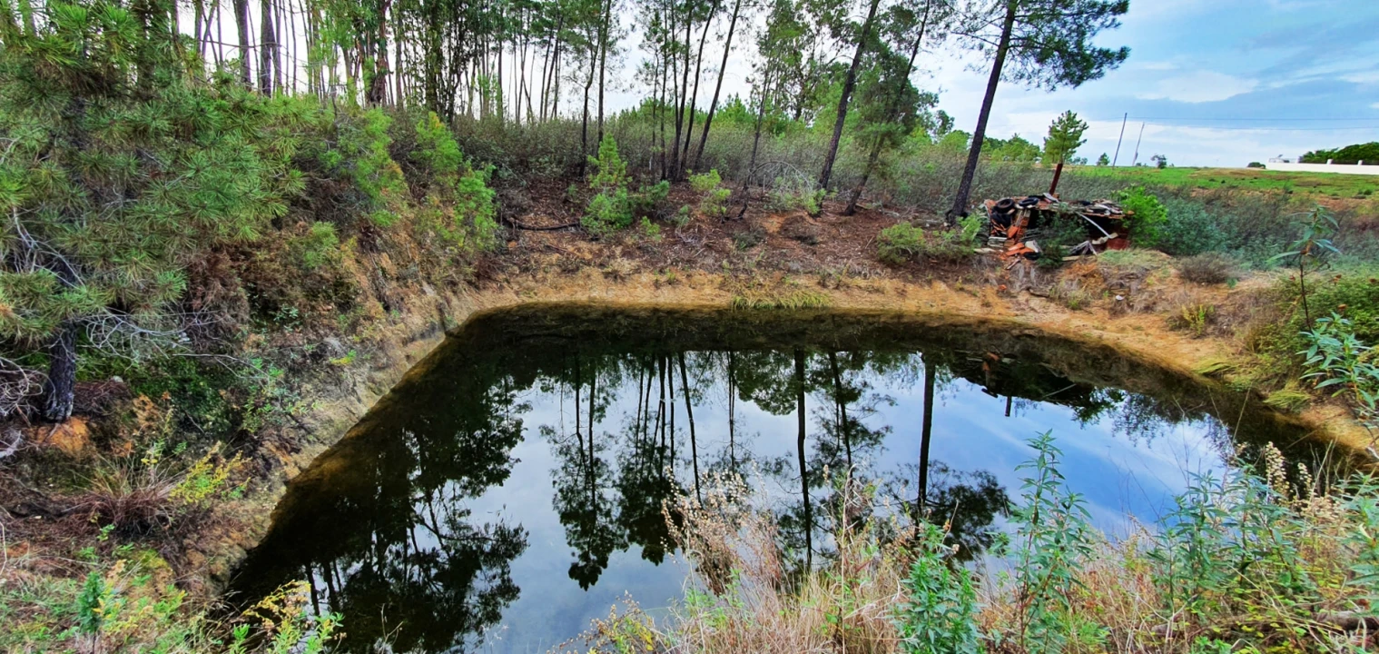 Quinta T0 para Venda em Santo Andre das Tojeiras Foto 12