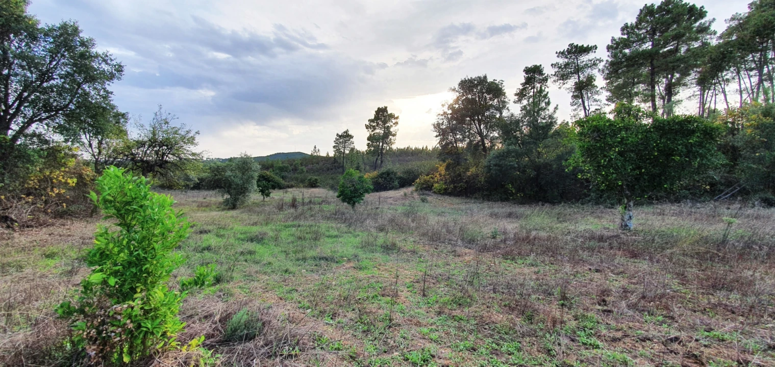 Quinta T0 para Venda em Santo Andre das Tojeiras Foto 8