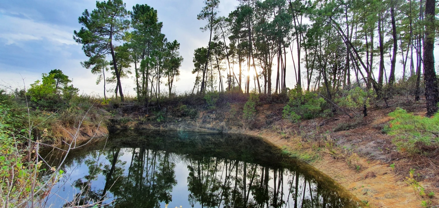 Quinta T0 para Venda em Santo Andre das Tojeiras Foto 11