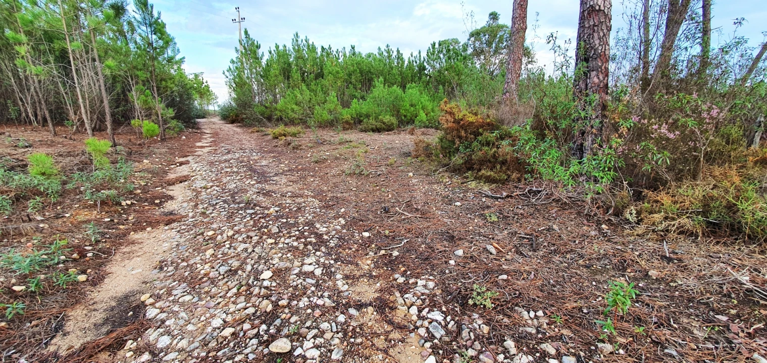 Quinta T0 para Venda em Santo Andre das Tojeiras Foto 16