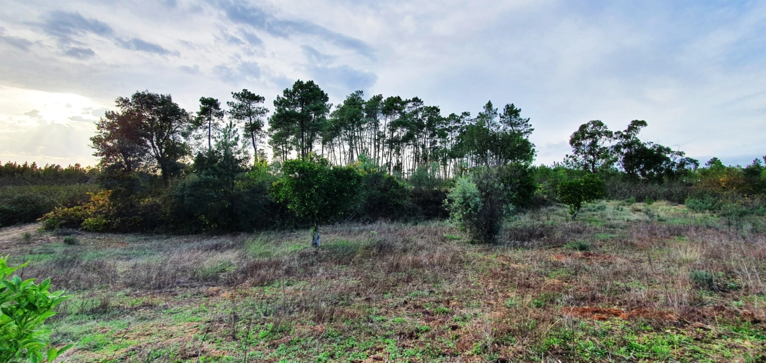 Quinta T0 para Venda em Santo Andre das Tojeiras Foto 7