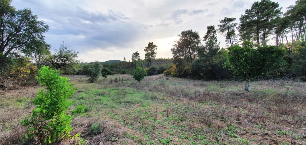 Quinta T0 para Venda em Santo Andre das Tojeiras Foto 8