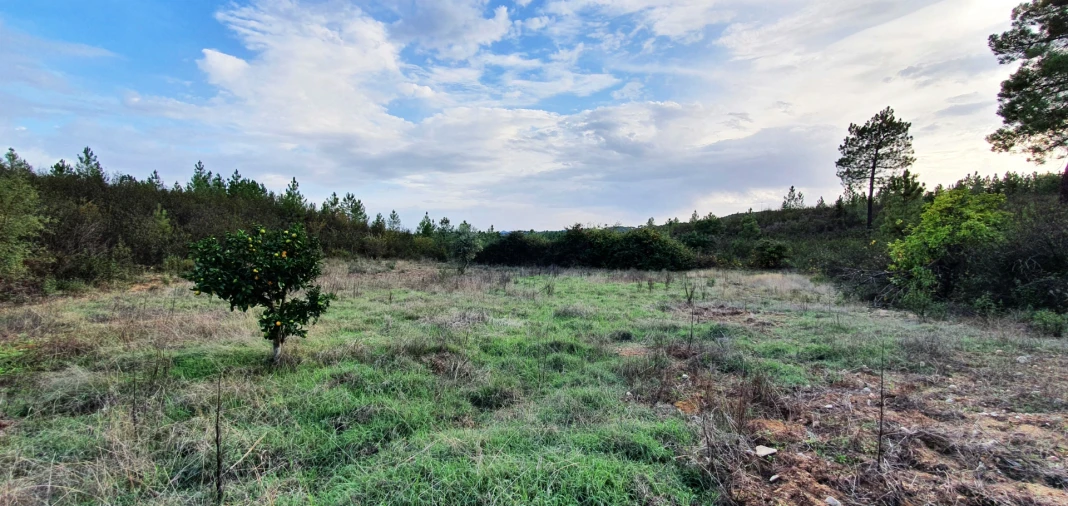 Quinta T0 para Venda em Santo Andre das Tojeiras Foto 6
