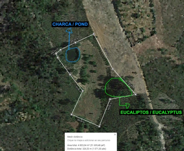 Quinta T0 para Venda em Santo Andre das Tojeiras Foto 17