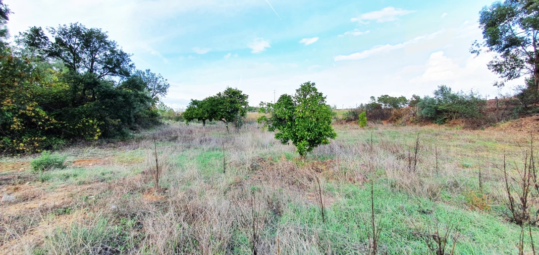 Quinta T0 para Venda em Santo Andre das Tojeiras Foto 5