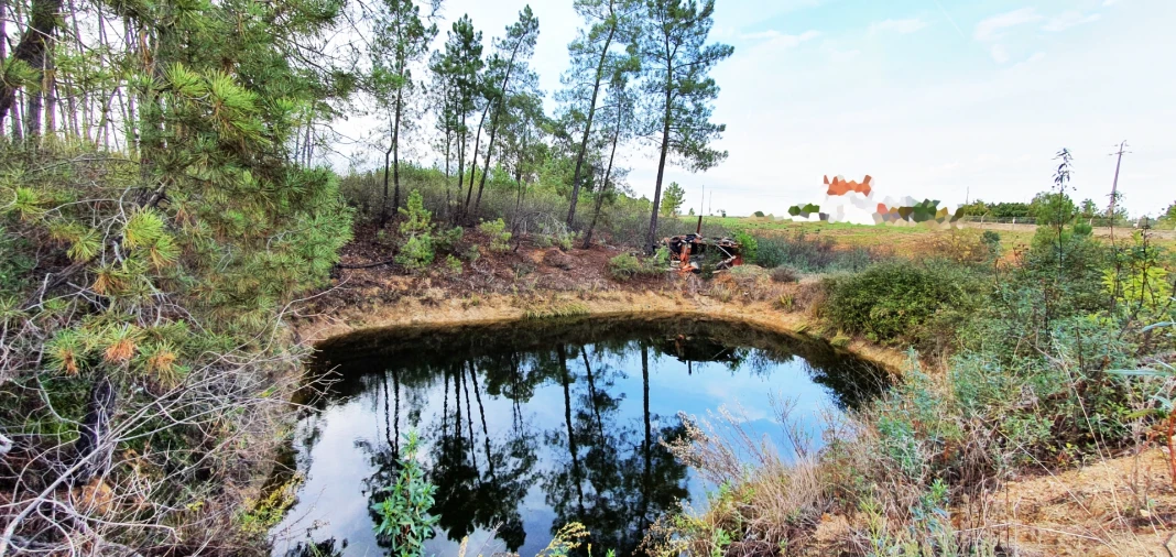 Quinta T0 para Venda em Santo Andre das Tojeiras Foto 2
