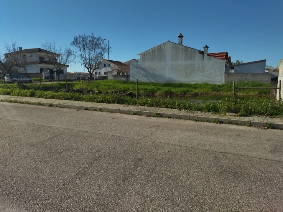Terreno para Venda em Lardosa Foto 24