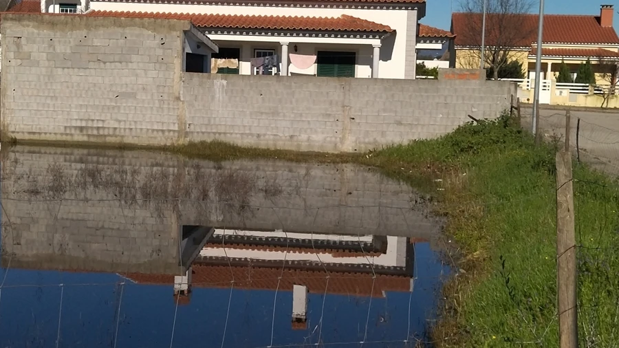 Terreno para Venda em Lardosa