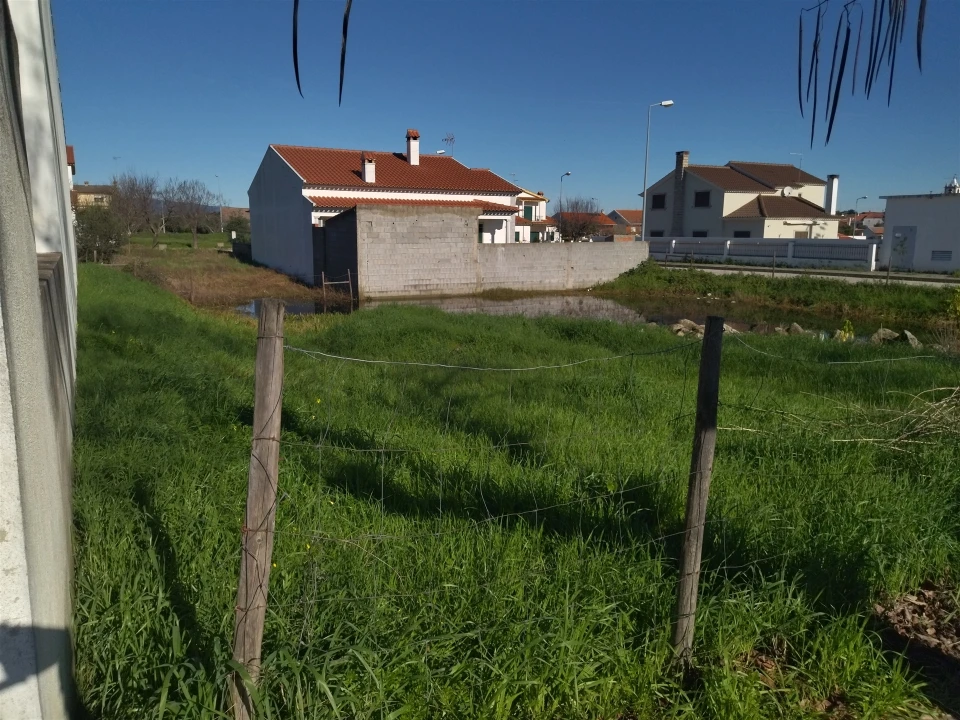 Terreno para Venda em Lardosa Foto 18