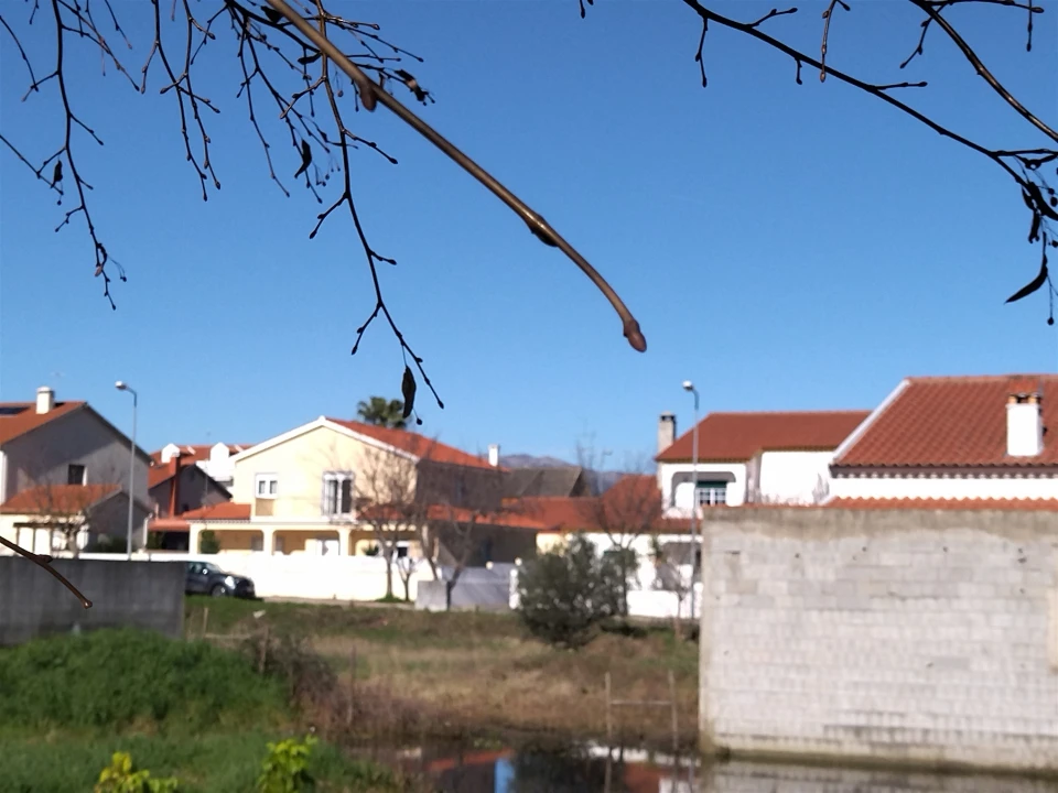 Terreno para Venda em Lardosa Foto 13