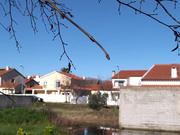 Terreno para Venda em Lardosa